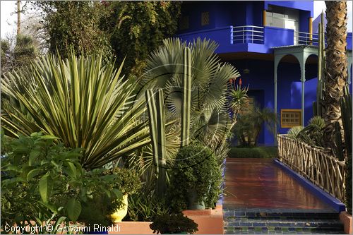 MAROCCO - MAROC - MOROCCO - MARRAKECH - Jardin Majorelle (www.jardinmajorelle.com)