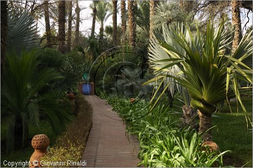 MAROCCO - MAROC - MOROCCO - MARRAKECH - Jardin Majorelle (www.jardinmajorelle.com)