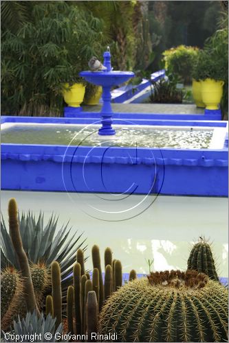 MAROCCO - MAROC - MOROCCO - MARRAKECH - Jardin Majorelle (www.jardinmajorelle.com)