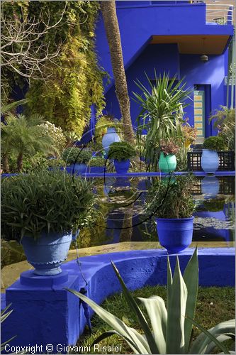 MAROCCO - MAROC - MOROCCO - MARRAKECH - Jardin Majorelle (www.jardinmajorelle.com)