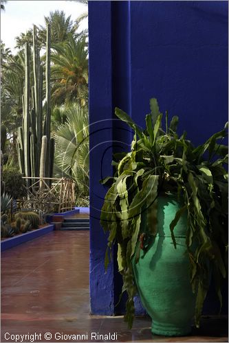 MAROCCO - MAROC - MOROCCO - MARRAKECH - Jardin Majorelle (www.jardinmajorelle.com)