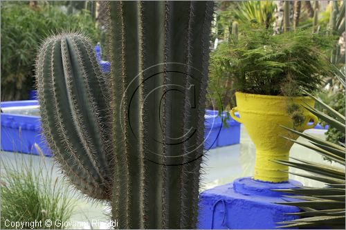 MAROCCO - MAROC - MOROCCO - MARRAKECH - Jardin Majorelle (www.jardinmajorelle.com)