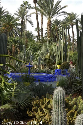 MAROCCO - MAROC - MOROCCO - MARRAKECH - Jardin Majorelle (www.jardinmajorelle.com)