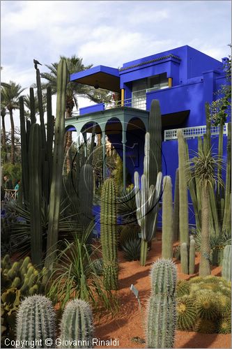 MAROCCO - MAROC - MOROCCO - MARRAKECH - Jardin Majorelle (www.jardinmajorelle.com)