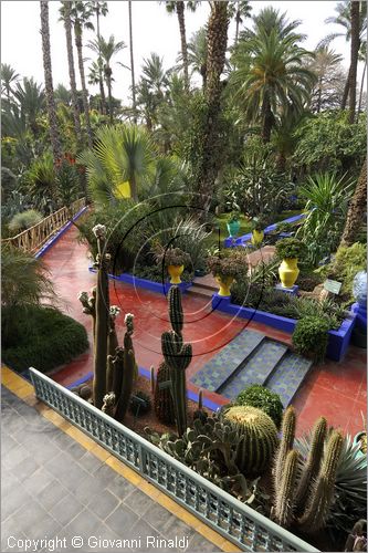 MAROCCO - MAROC - MOROCCO - MARRAKECH - Jardin Majorelle (www.jardinmajorelle.com)