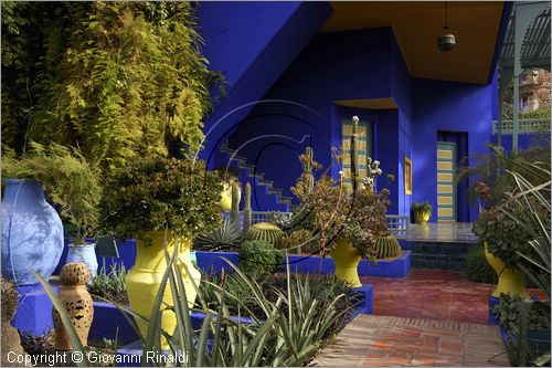 MAROCCO - MAROC - MOROCCO - MARRAKECH - Jardin Majorelle (www.jardinmajorelle.com)