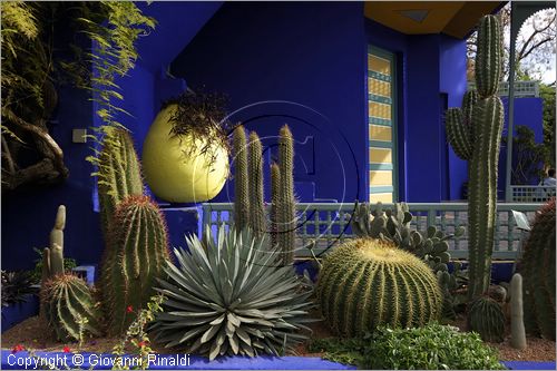 MAROCCO - MAROC - MOROCCO - MARRAKECH - Jardin Majorelle (www.jardinmajorelle.com)