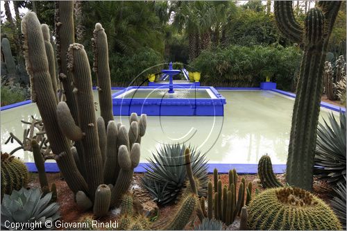 MAROCCO - MAROC - MOROCCO - MARRAKECH - Jardin Majorelle (www.jardinmajorelle.com)