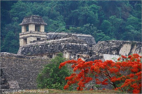 MEXICO - CHIAPAS - Area archeologica di Palenque (antica citt Maya (VII sec. d.C.) - il Palacio