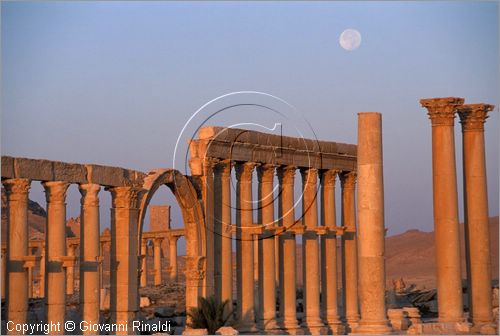 SIRIA - PALMIRA
antica citt romana nel deserto
veduta delle rovine all'alba