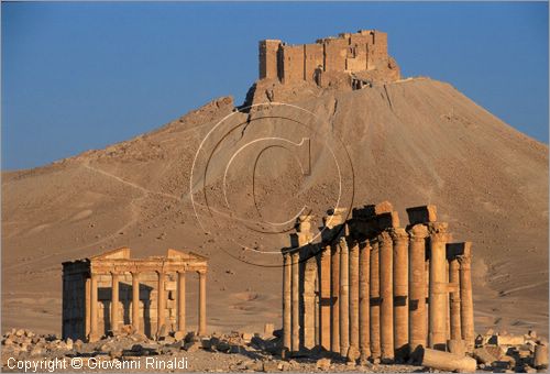 SIRIA - PALMIRA
antica citt romana nel deserto
veduta delle rovine all'alba, la strada colonnatae il tempio funebre, sullo sfondo il castello arabo