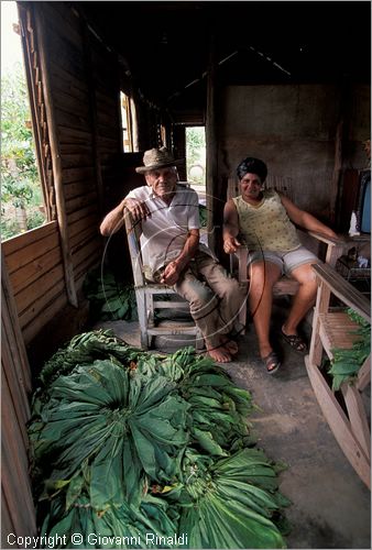 CUBA - (Pinar del Rio) - in una casa tra le piantagioni nella zona tra San Luis e San Juan y Martinez, dove si produce il miglior tabacco dell'isola - tutta la popolazione che vive in questa zona  coinvolta nella lavorazione dei sigari