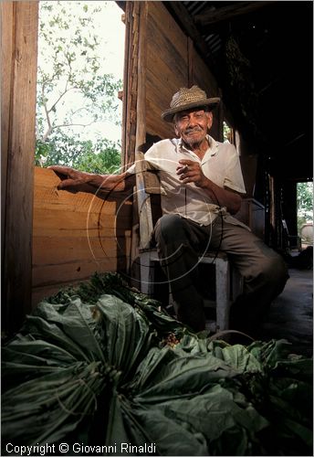 CUBA - (Pinar del Rio) - in una casa tra le piantagioni nella zona tra San Luis e San Juan y Martinez, dove si produce il miglior tabacco dell'isola - tutta la popolazione che vive in questa zona  coinvolta nella lavorazione dei sigari