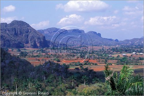 CUBA - (Vinales) - paesaggio