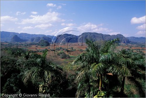 CUBA - (Vinales) - paesaggio