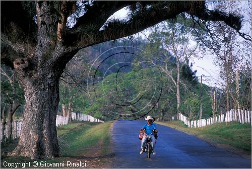 CUBA - (Vinales) - paesaggio