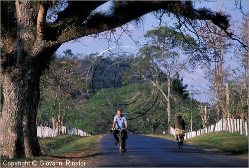 CUBA - (Vinales) - paesaggio