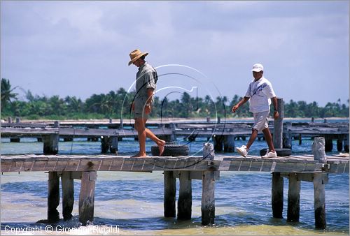 MEXICO - YUCATAN - (Playa del Carmen) - Punta Allen sulla costa a sud della cittadina