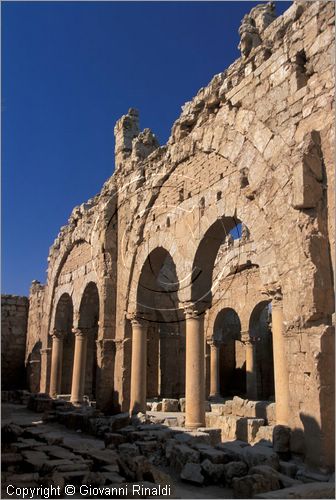 SIRIA - RASAFEH
citt fortificata da Diocleziano nel III secolo d.C.
basilica di San Sergio (VI secolo)