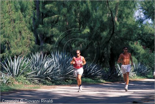 LA REUNION (Indian Ocean) - St.Gilles-Les-Bains sulla costa occidentale - jogging a Les Filaos