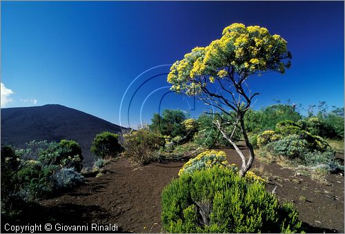 LA REUNION (Indian Ocean) - Pas de Bellecombe, veduta verso il vulcano Piton de la Fournaise (2631 mt.)