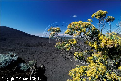 LA REUNION (Indian Ocean) - Pas de Bellecombe, veduta verso il vulcano Piton de la Fournaise (2631 mt.)