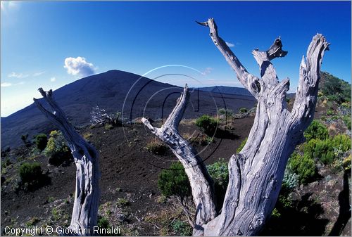 LA REUNION (Indian Ocean) - Pas de Bellecombe, veduta verso il vulcano Piton de la Fournaise (2631 mt.)