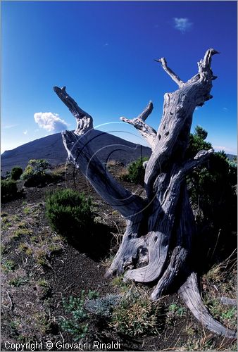 LA REUNION (Indian Ocean) - Pas de Bellecombe, veduta verso il vulcano Piton de la Fournaise (2631 mt.)