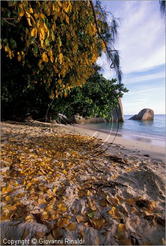 SEYCHELLES (Indian Ocean) - La Digue Island - Anse Source d'Argent