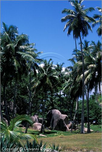 SEYCHELLES (Indian Ocean) - (La Digue Island) - Grand Soeur Island