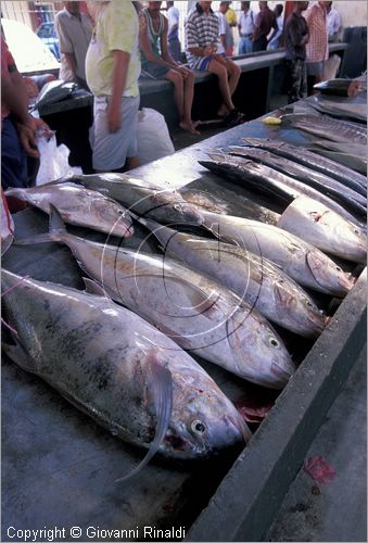 SEYCHELLES (Indian Ocean) - MAHE' ISLAND - Victoria - Mercato del pesce