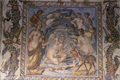 SIRIA - SUWEIDA
museo archeologico
mosaici provenienti da Shahba, Artemide sorpresa al bagno