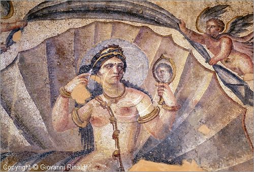 SIRIA - SUWEIDA
museo archeologico
mosaici provenienti da Shahba, nascita e toletta di Venere