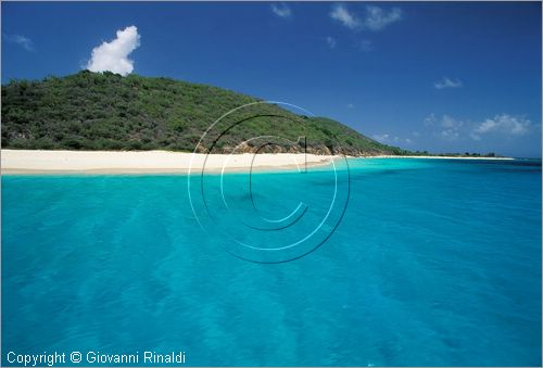 CARAIBI - ISOLE VERGINI AMERICANE - ISOLA DI ST.CROIX - BUCK ISLAND