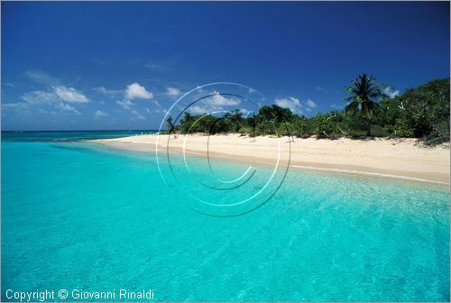 CARAIBI - ISOLE VERGINI AMERICANE - ISOLA DI ST.CROIX - BUCK ISLAND