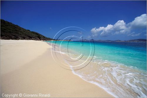 CARAIBI - ISOLE VERGINI AMERICANE - ISOLA DI ST.CROIX - BUCK ISLAND