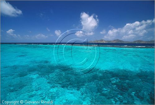 CARAIBI - ISOLE VERGINI AMERICANE - ISOLA DI ST.CROIX - BUCK ISLAND - barriera corallina