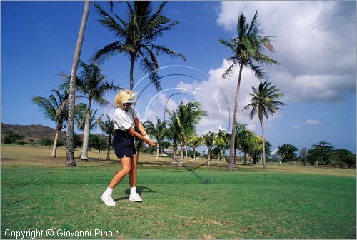 CARAIBI - ISOLE VERGINI AMERICANE - ISOLA DI ST.CROIX - Carambola Beach Resort: il campo di golf