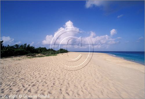 CARAIBI - ISOLE VERGINI AMERICANE - ISOLA DI ST.CROIX - Sandy Point