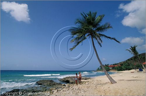 CARAIBI - ISOLE VERGINI AMERICANE - ISOLA DI ST.CROIX - Carambola Beach Resort: la spiaggia