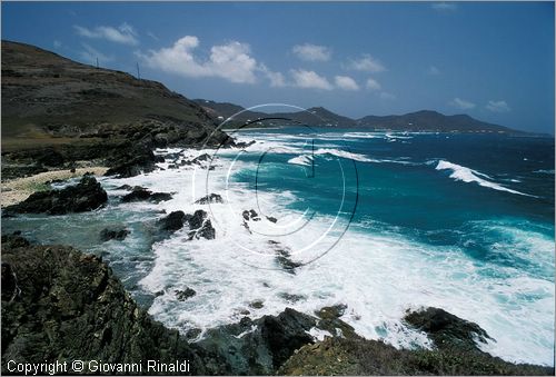 CARAIBI - ISOLE VERGINI AMERICANE - ISOLA DI ST.CROIX - Grassa Point