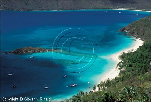 CARAIBI - ISOLE VERGINI AMERICANE - ISOLA DI ST.JOHN - Chinnamon Bay