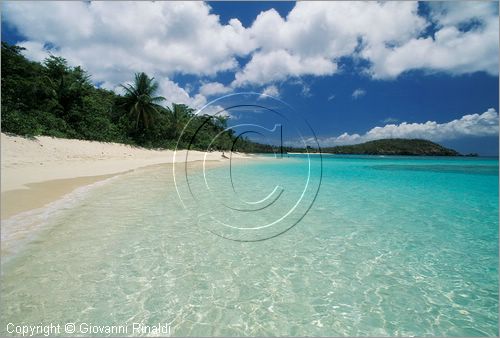 CARAIBI - ISOLE VERGINI AMERICANE - ISOLA DI ST.JOHN - Trunk Bay