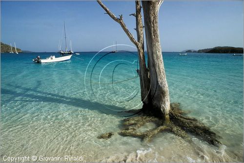 CARAIBI - ISOLE VERGINI AMERICANE - ISOLA DI ST.JOHN - Cinnamon Bay