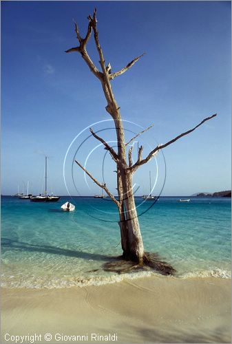 CARAIBI - ISOLE VERGINI AMERICANE - ISOLA DI ST.JOHN - Cinnamon Bay