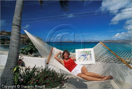 CARAIBI - ISOLE VERGINI AMERICANE - ISOLA DI ST.JOHN - Coconut Coast Studio