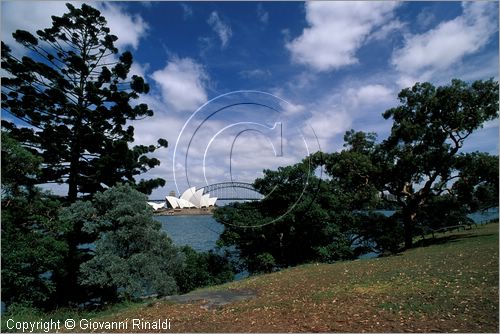 AUSTRALIA - SYDNEY - veduta dell'Opera House dal parco  presso Mrs Macquarie's Point