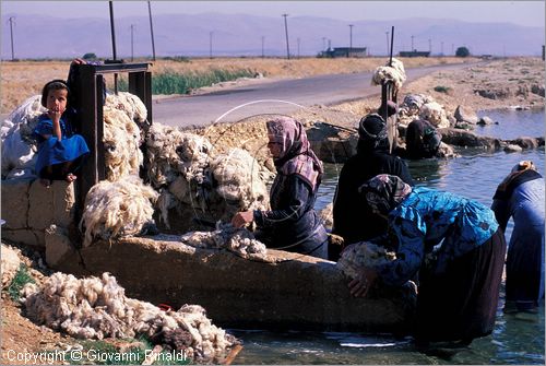 SYRIA - le donne lavano la lana lungo un corso d'acqua