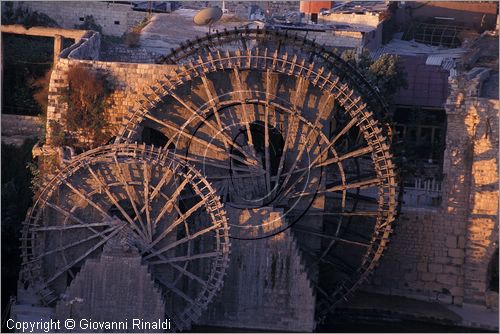 SYRIA - Hama nella Valle dell'Oronte - veduta al tramonto della grande ruota ad acqua in legno che serviva per la distribuzione idrica nella citt e nei campi