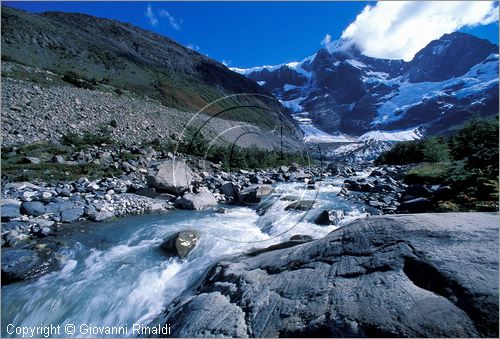 CILE - CHILE - PATAGONIA - Parco Nazionale Torres del Paine - Rio Frances, dietro il Glaciar Frances ed il Paine Grande